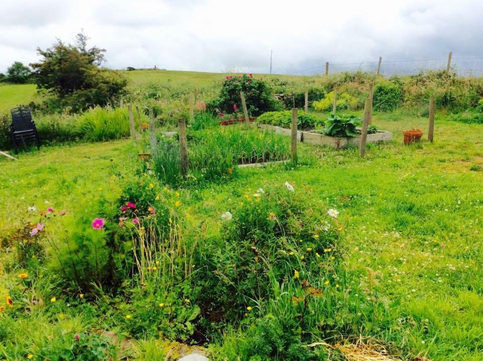 Holland House Bed & Breakfast Ballyshannon ภายนอก รูปภาพ
